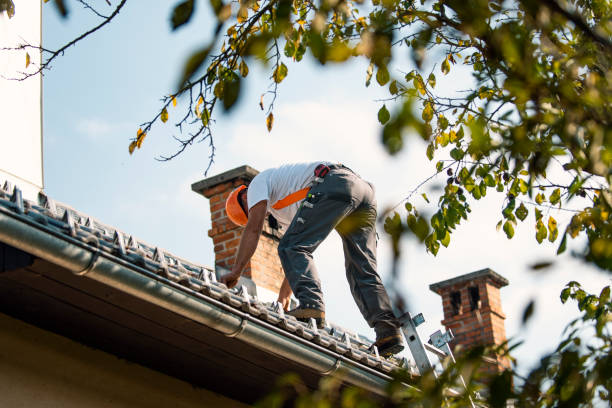 Emergency Roof Repair Services in Schertz, TX